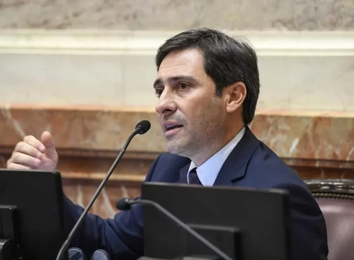 Grieta en el PRO por el posible acuerdo con LLA: Goerling reclama candidato propio y defiende las PASO